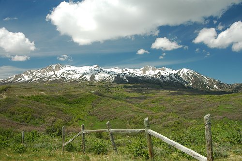 (00009) DSC_3676.jpg
